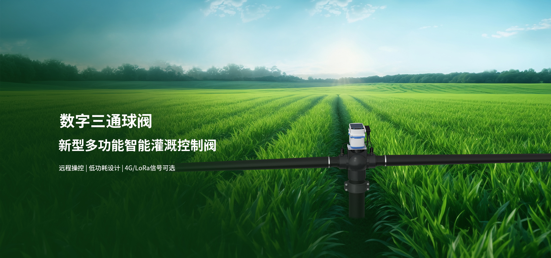 解决方案